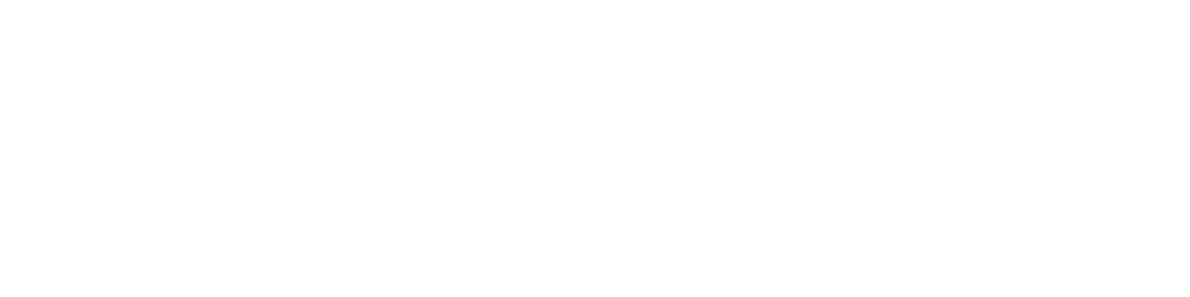 CheckID FacialSense Service